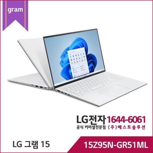 LG 그램PC 15Z95N-GR51ML