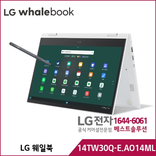 LG 웨일북 14TW30Q-EO14ML